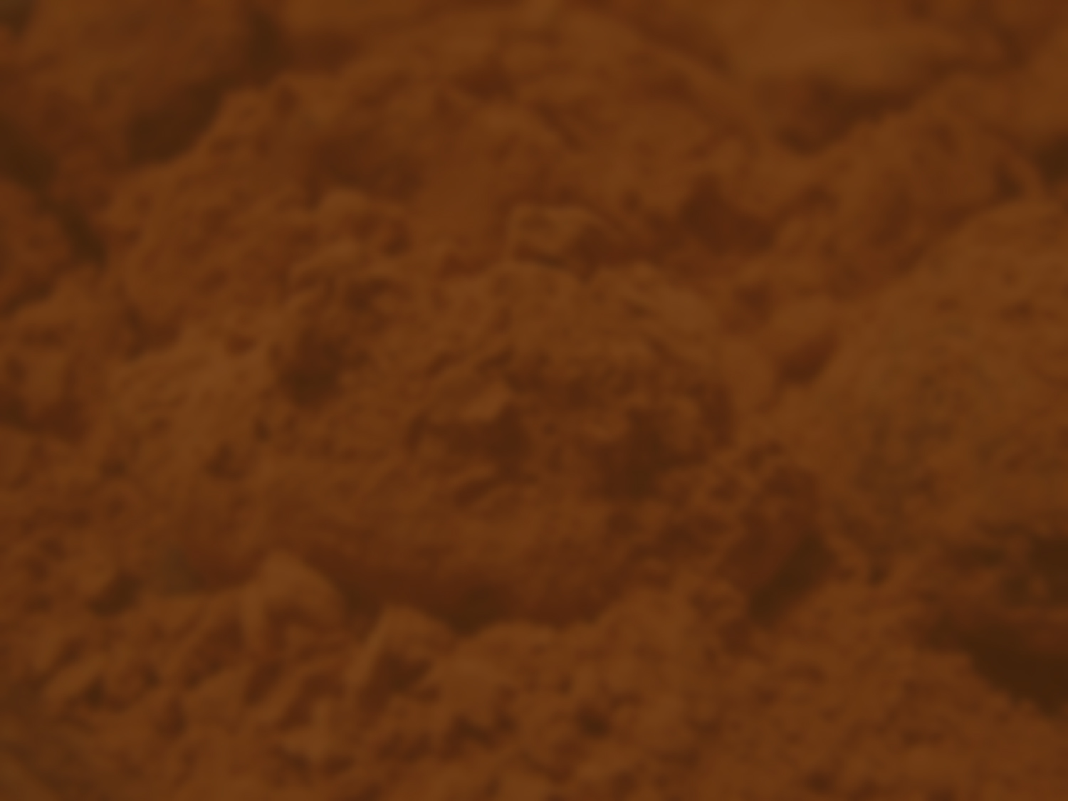 Chocolate truffles in cocoa powder
